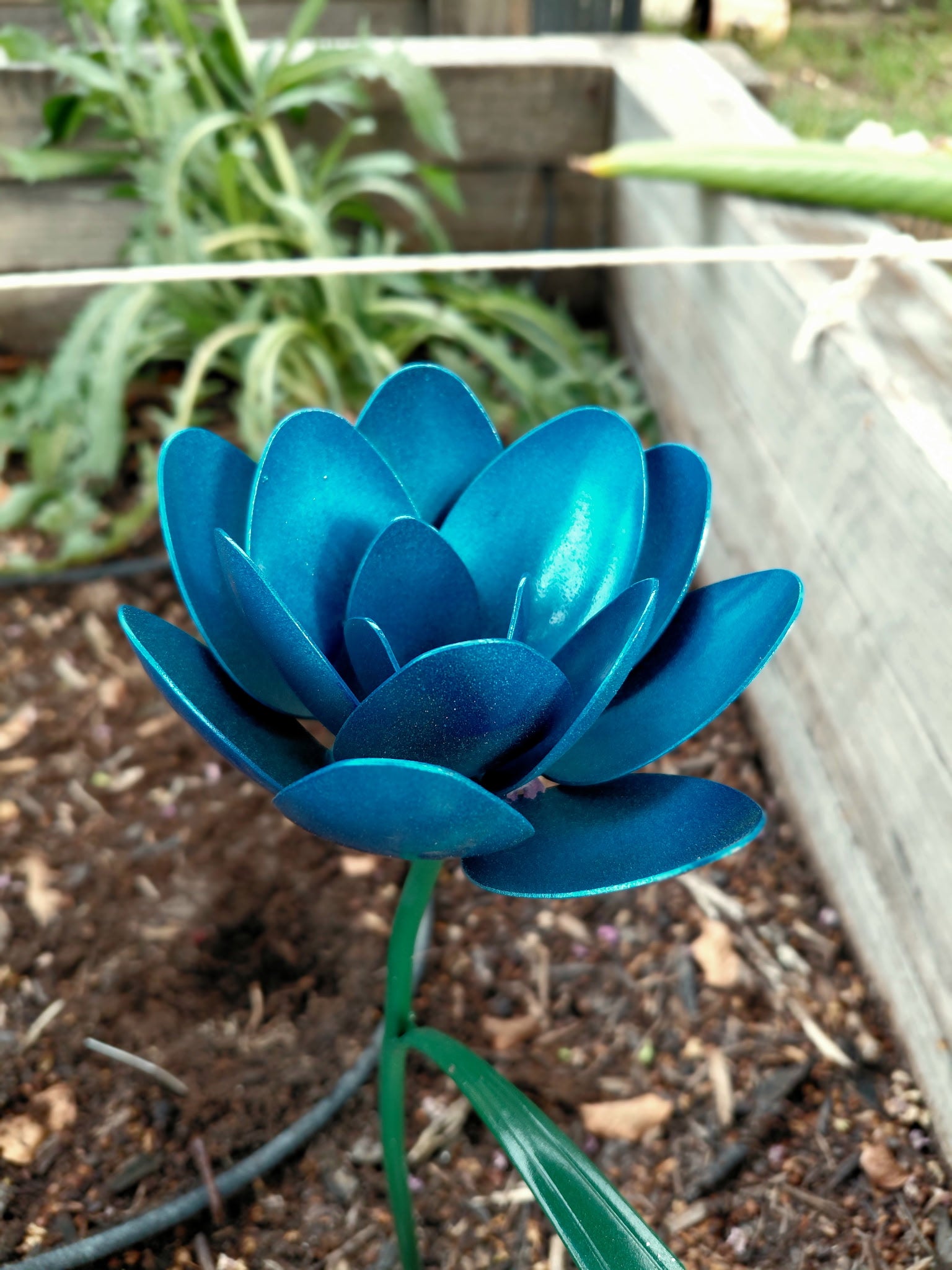 Spoon Flower