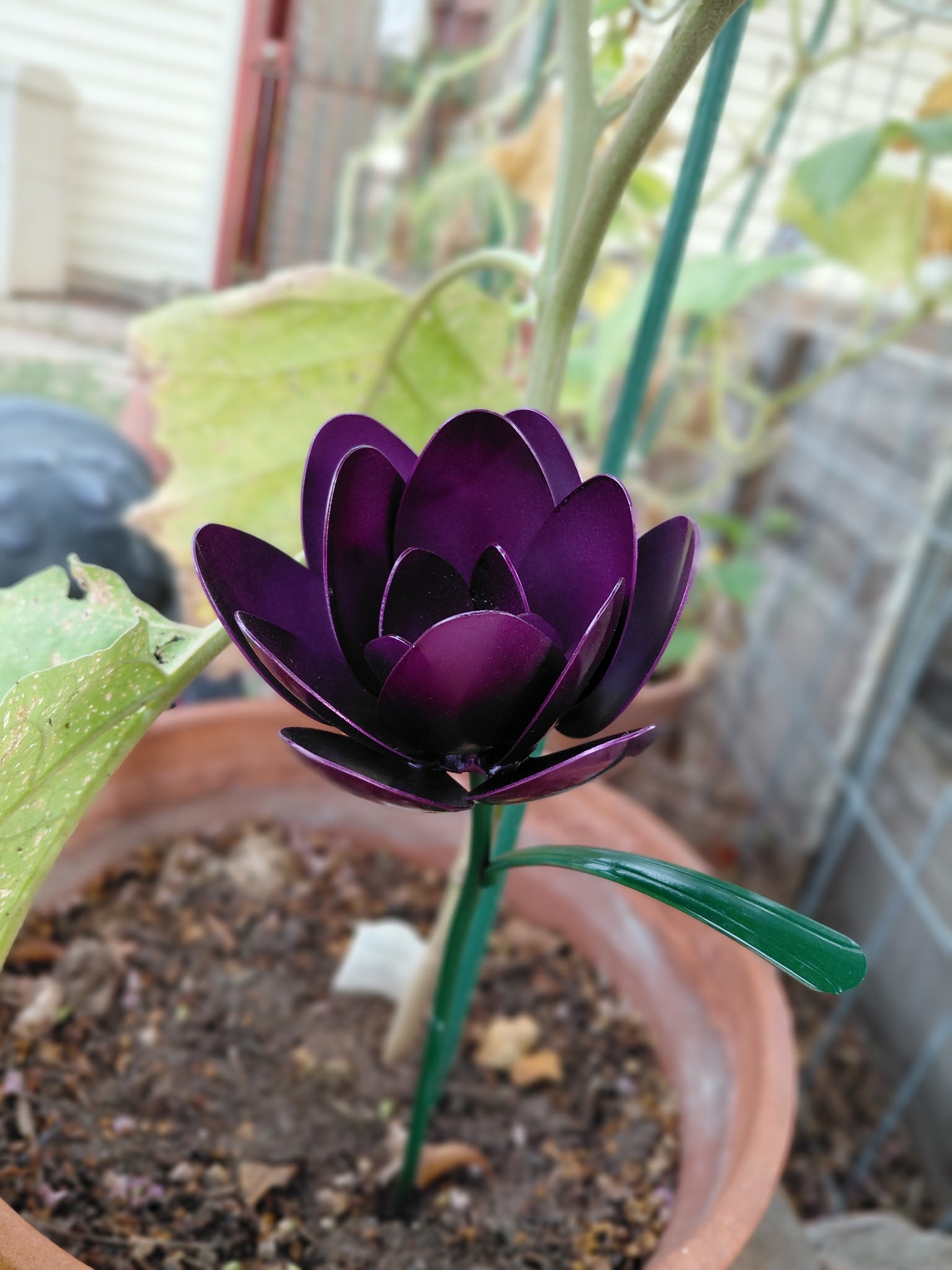 Spoon Flower