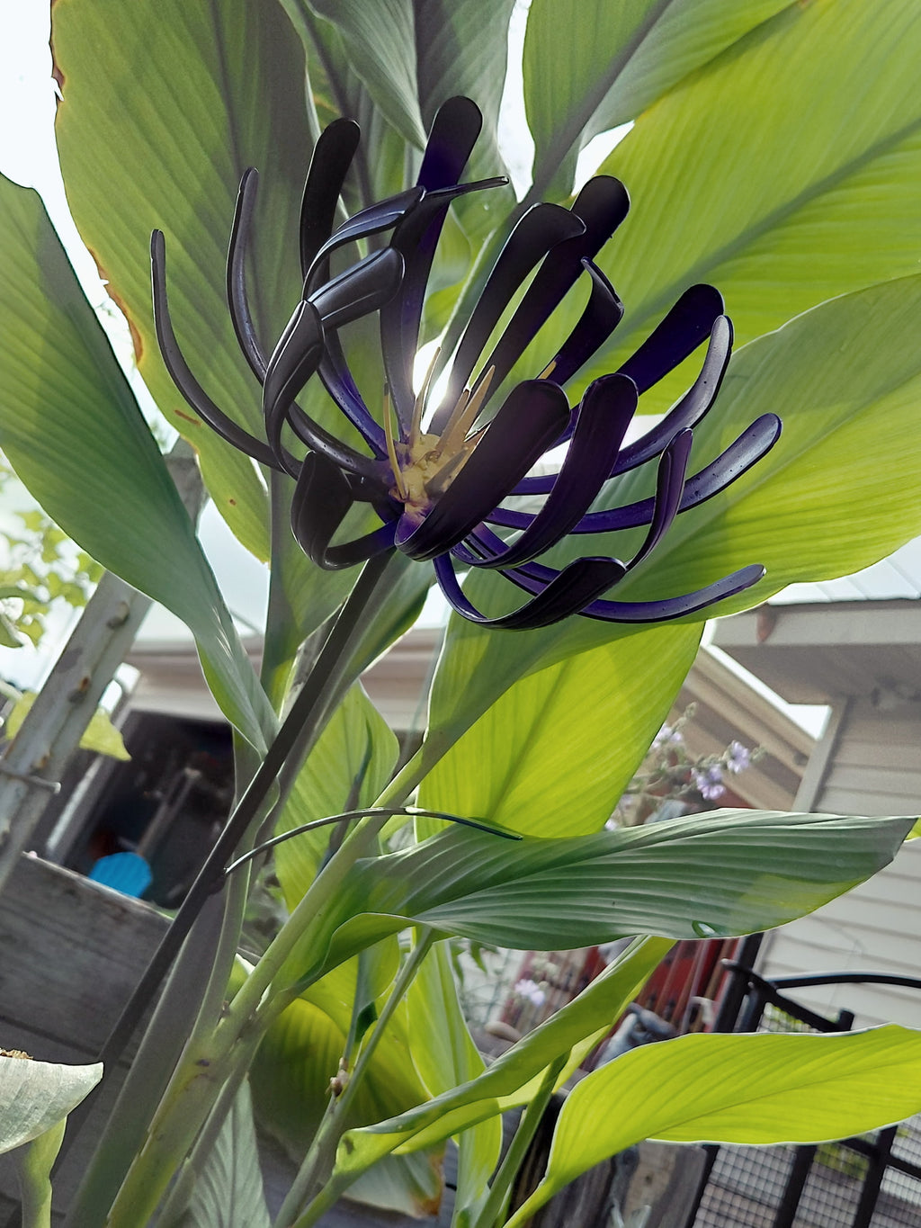 Spoon Handle Flower