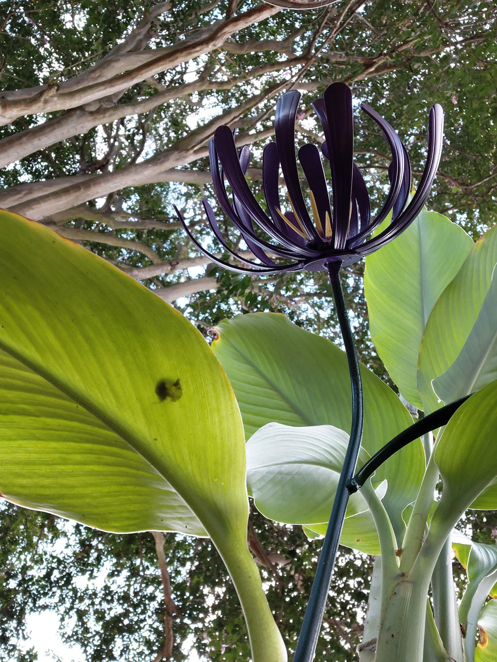 Spoon Handle Flower