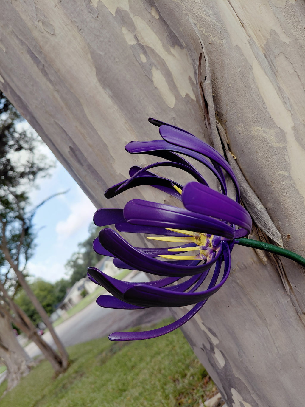 Spoon Handle Flower